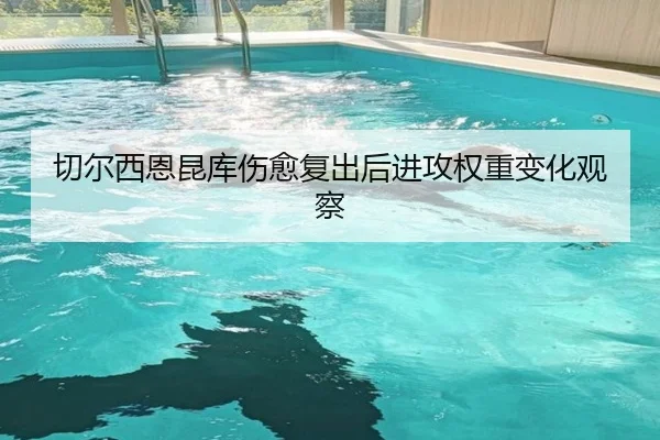 切尔西恩昆库伤愈复出后进攻权重变化观察